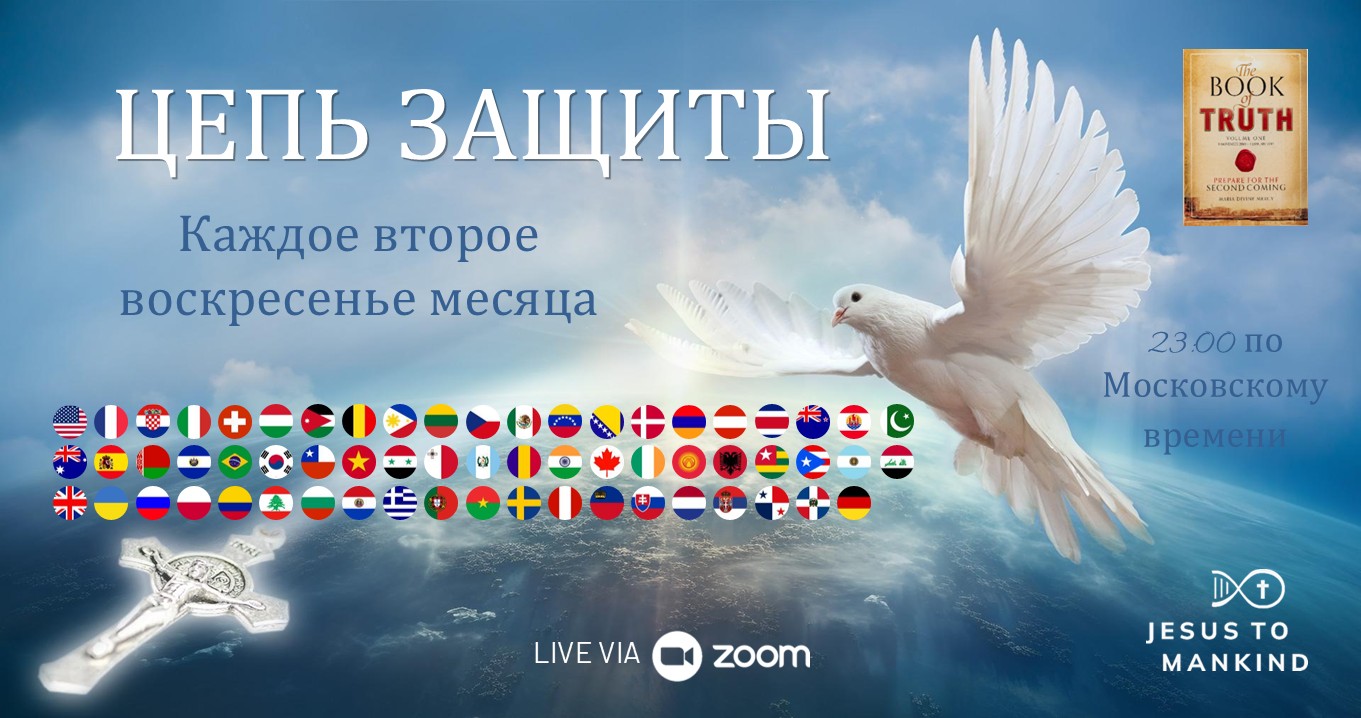Европейская Цепь Защиты — январь 2026 г.